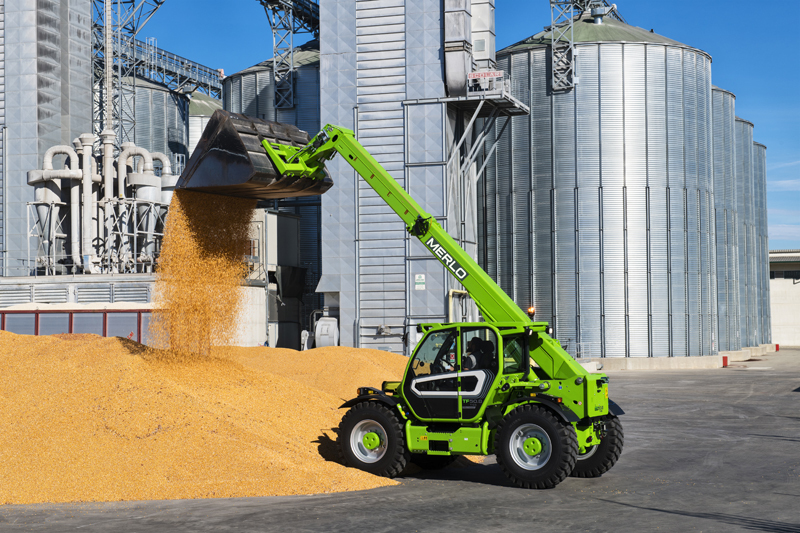 Merlo Merlo