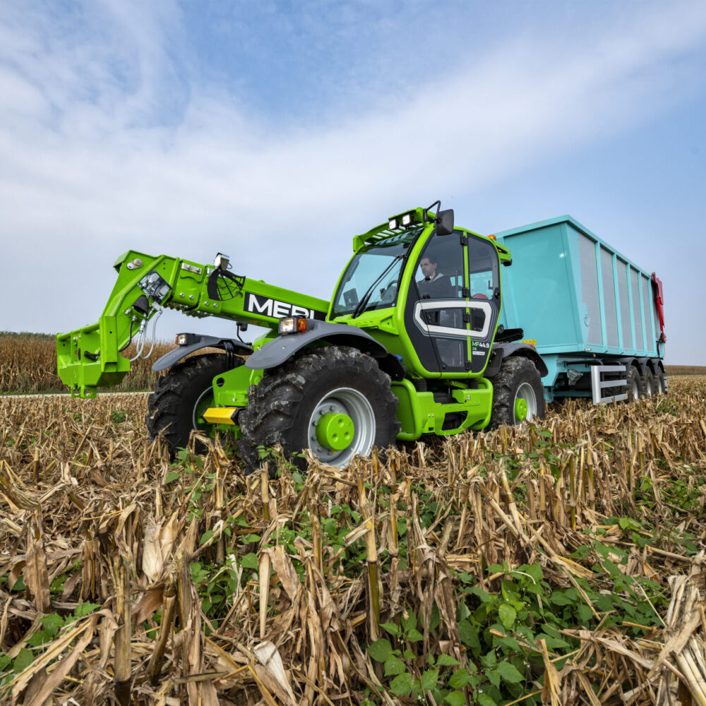 Merlo Merlo