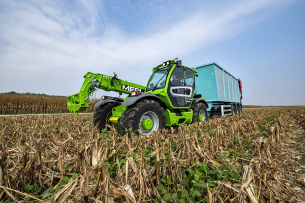 Merlo Merlo