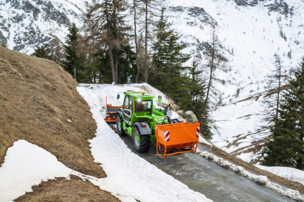 Merlo Merlo
