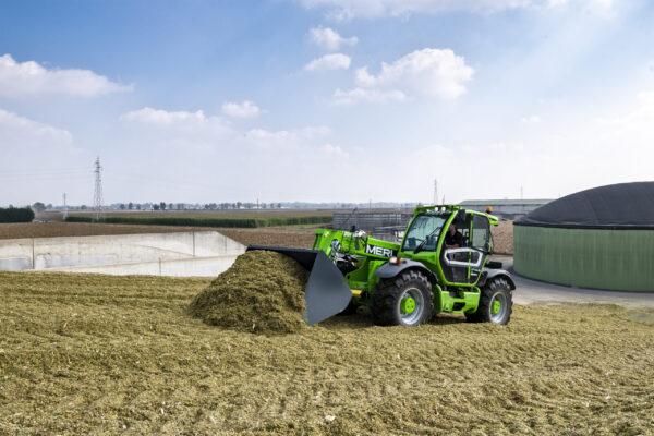 Merlo Merlo