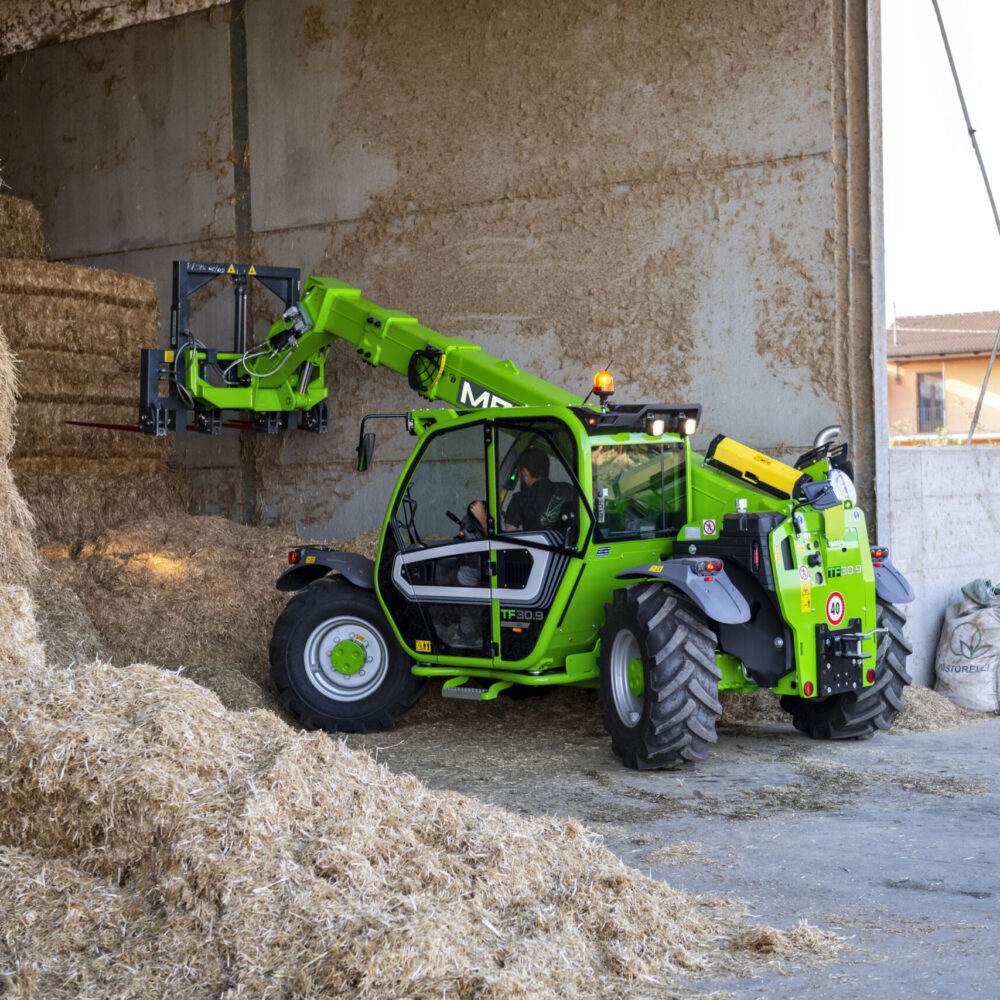 Merlo Merlo