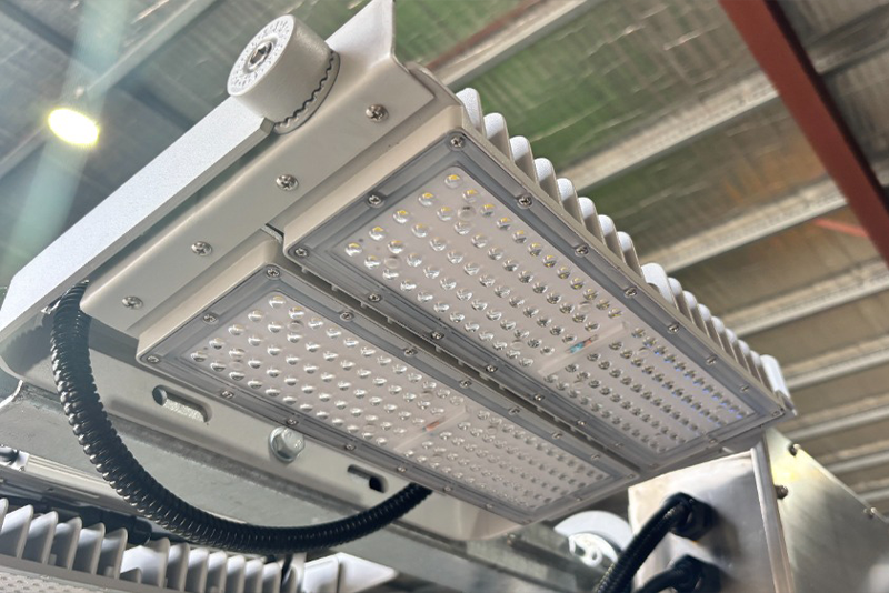 BSC-600-8-800x534